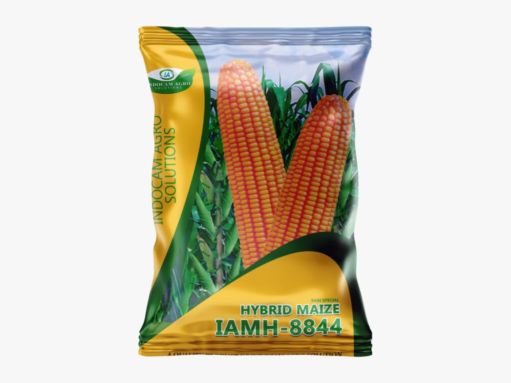 Hybrid_Maize 8844