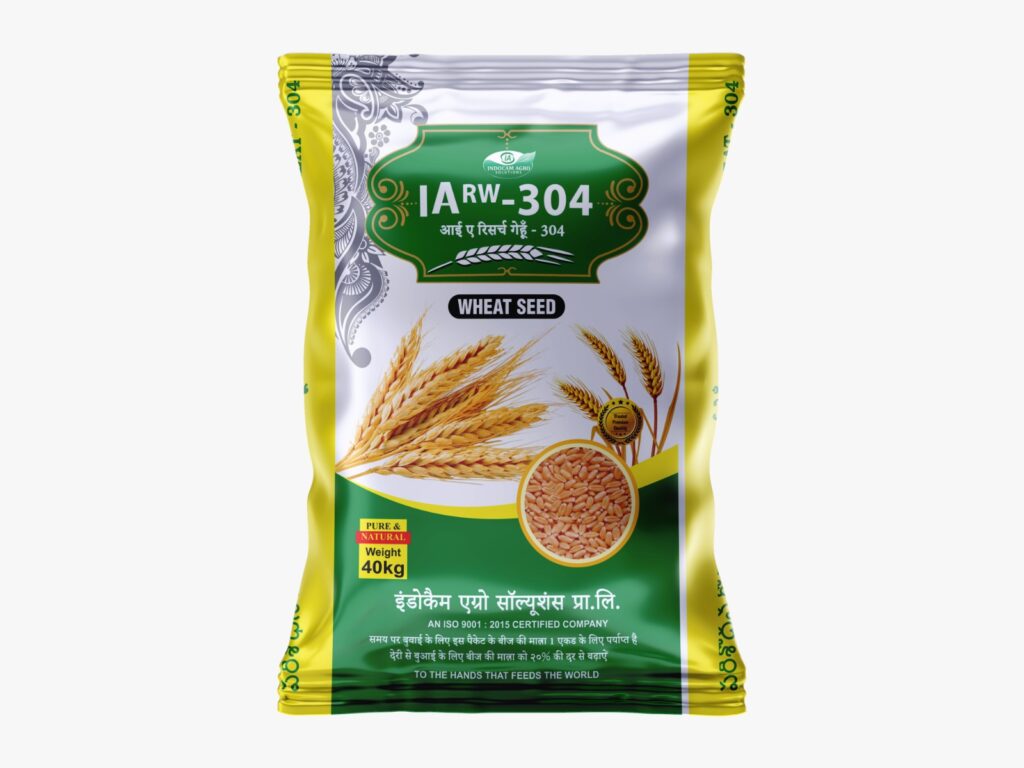 Wheat_304 Wheat_304