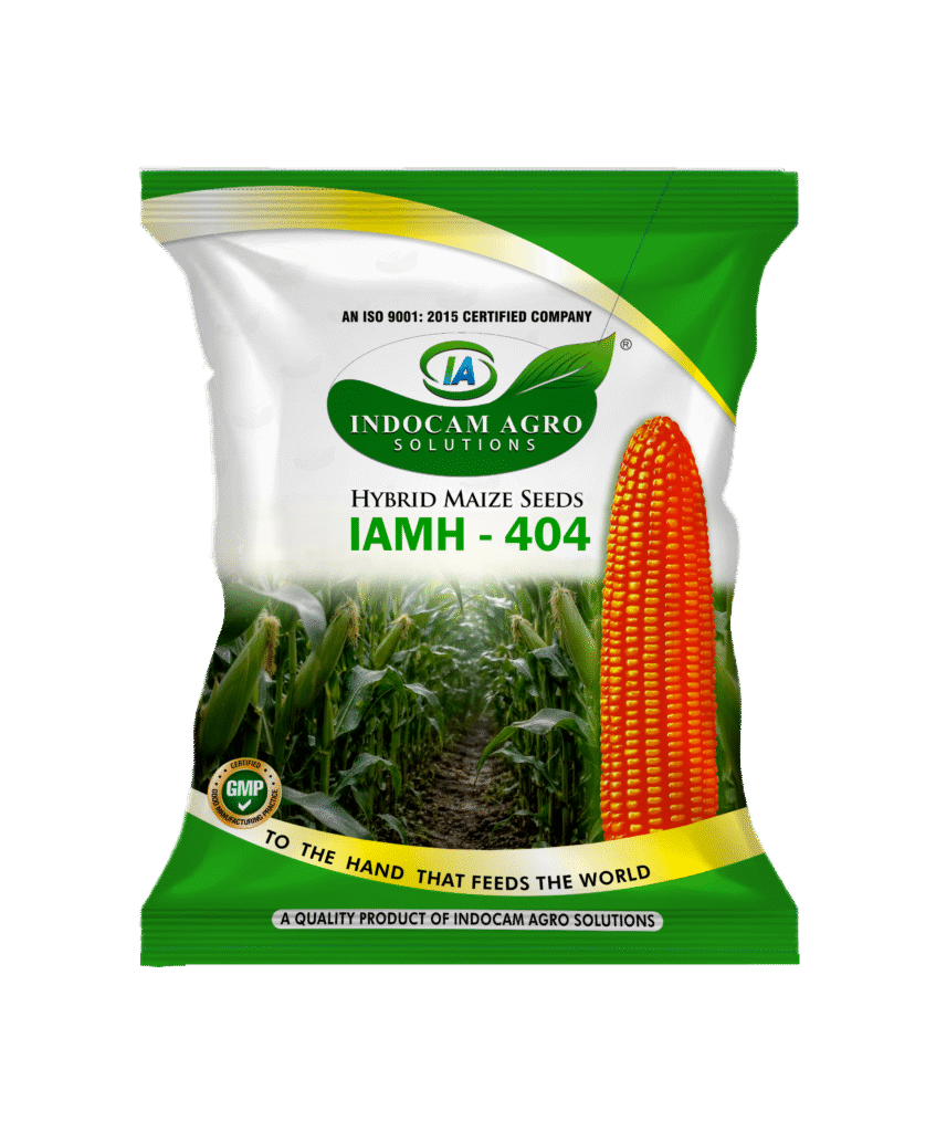 404 MAIZE PNG IAMH -= 404